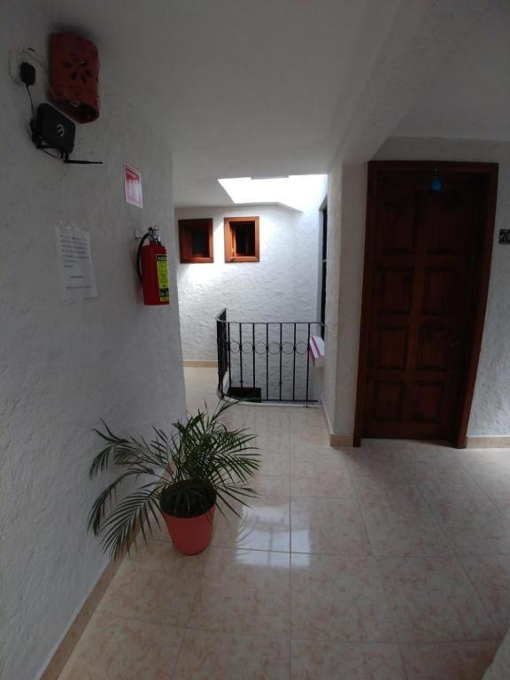 Hotel Real Del Carmen - Ideal Para Familias Y Parejas San Cristóbal de Las Casas Esterno foto